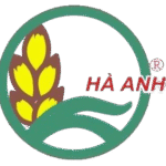 Công ty phân lân văn điển